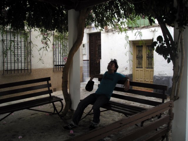 Photograph