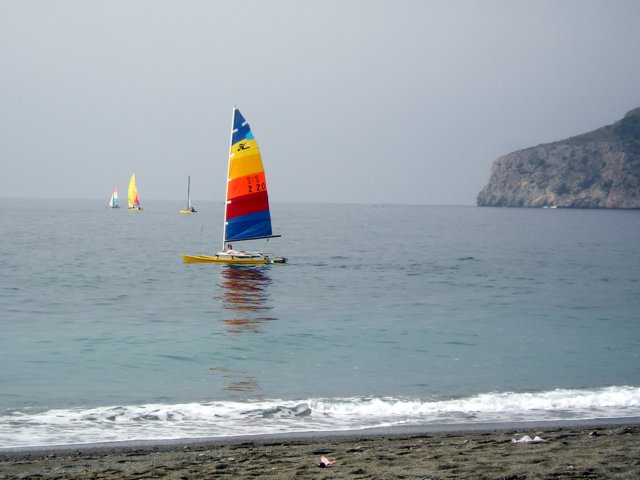 Photograph