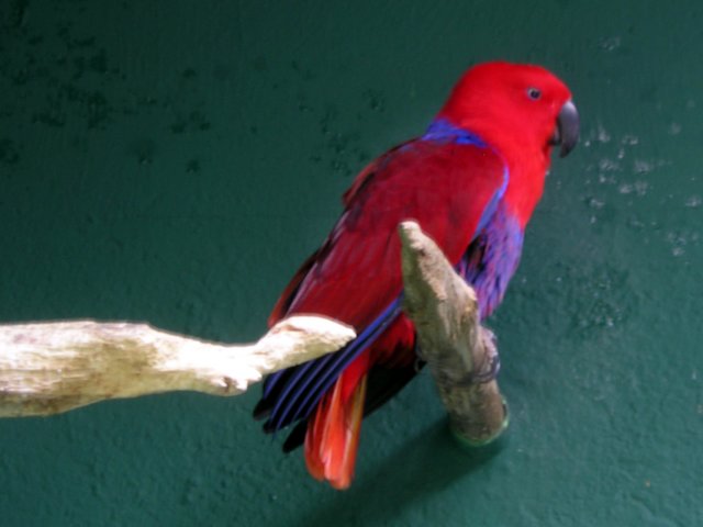 Photograph