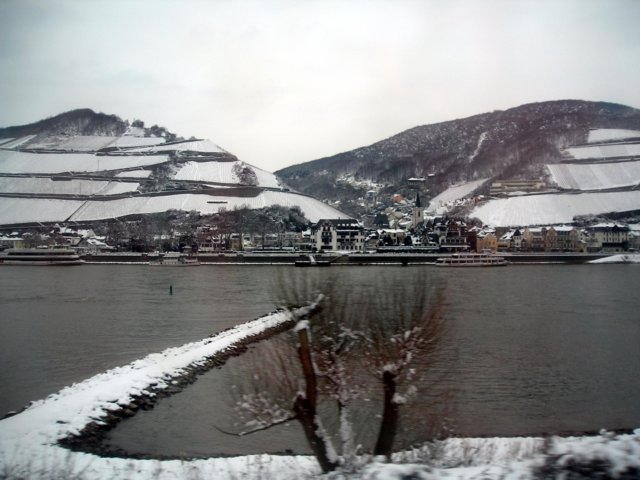 Photograph