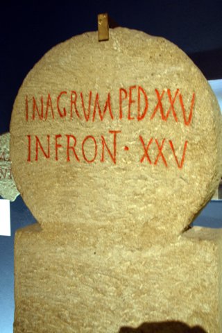 img_4393jpg.jpg