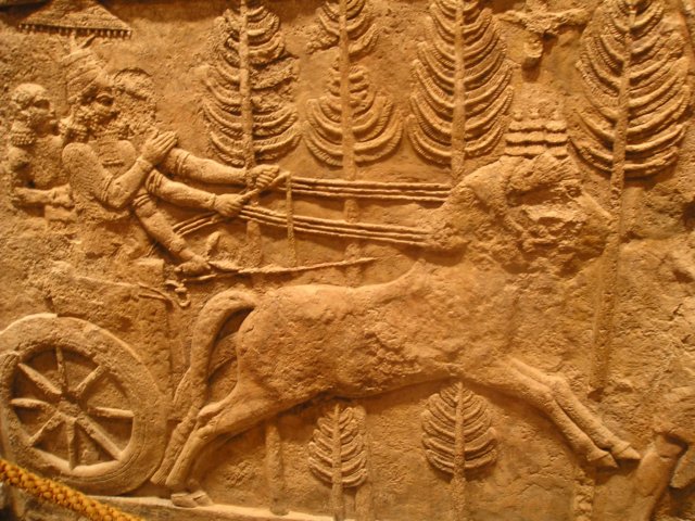 Photograph