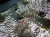 Photo Number 260