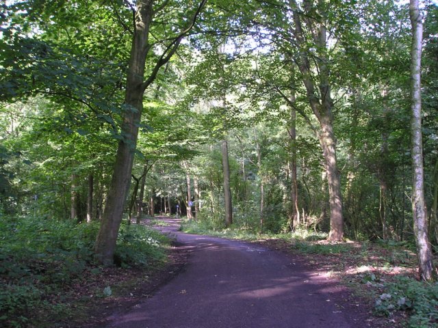 Photograph