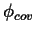 $\phi_{cov}$