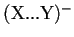 ${\rm (X...Y)^-}$
